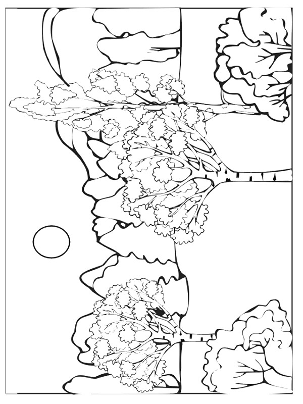 Plansa de colorat cu Toamna 68 146